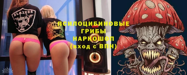 дживик Арсеньев
