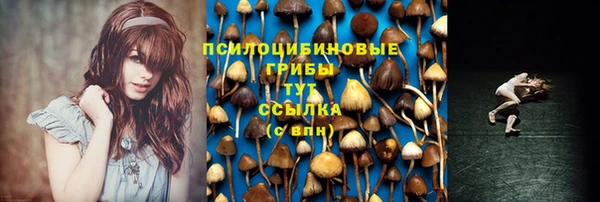 дживик Арсеньев