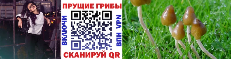 Галлюциногенные грибы GOLDEN TEACHER Славск